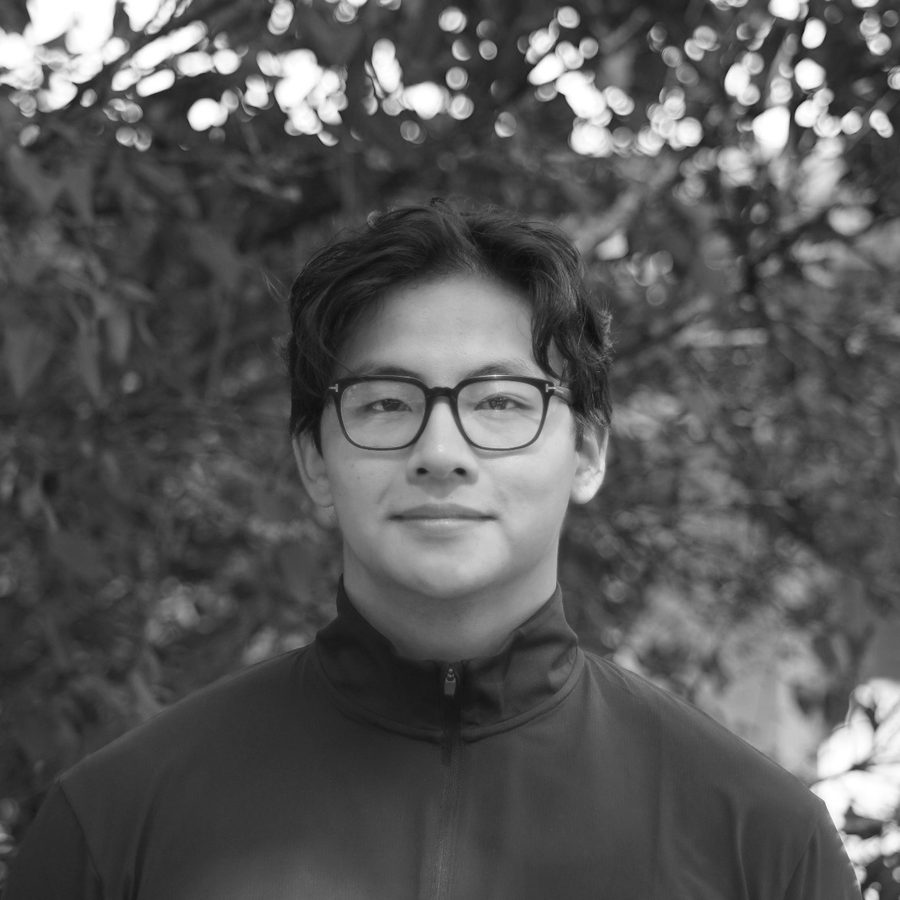 Portrait Dati Tran